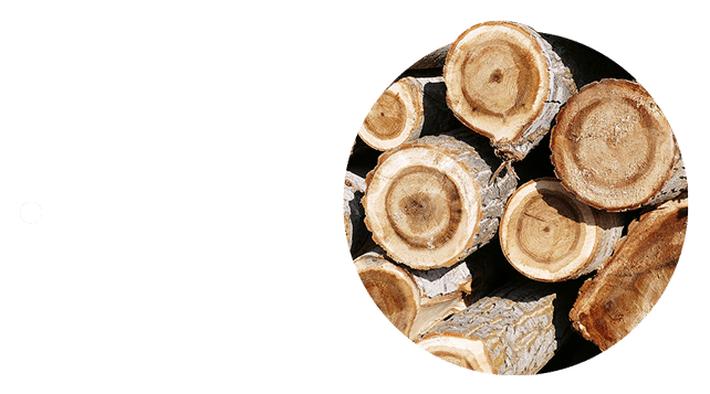 wood-original