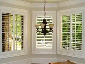 dsc01887_49855323531_o-4