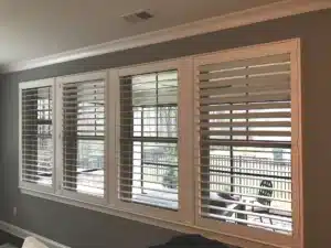 img_2217_49960839227_o-2